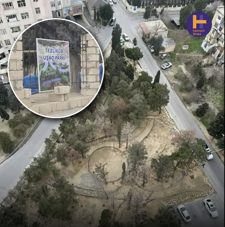 Bakıda park salma adı ilə ağaçları kəsirlər