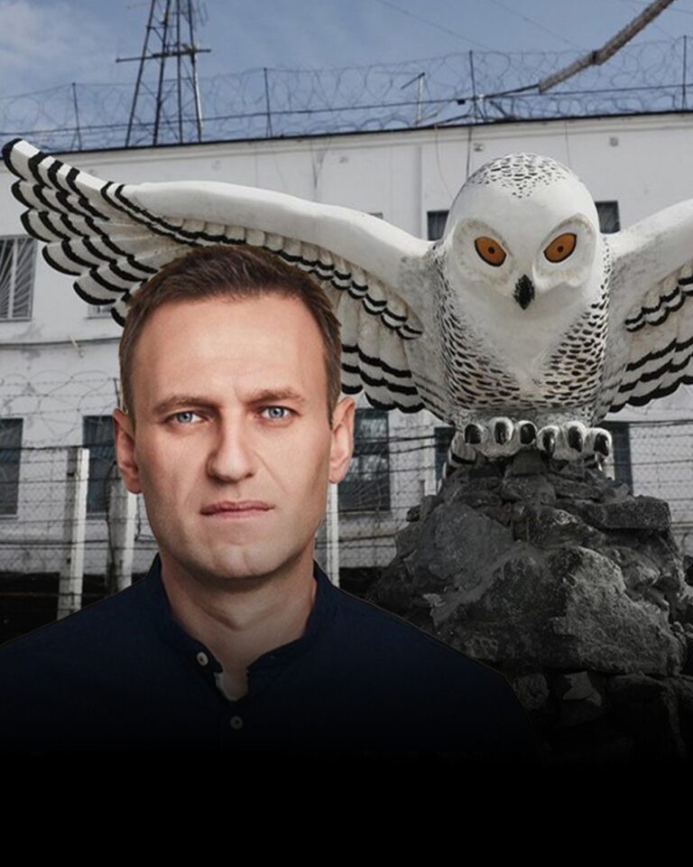 Navalnı Şimal Buzlu Okeandan tapılır
