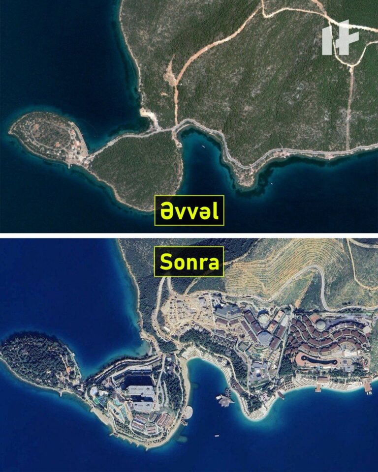 Türkiyədə meşə yanğınları artıb