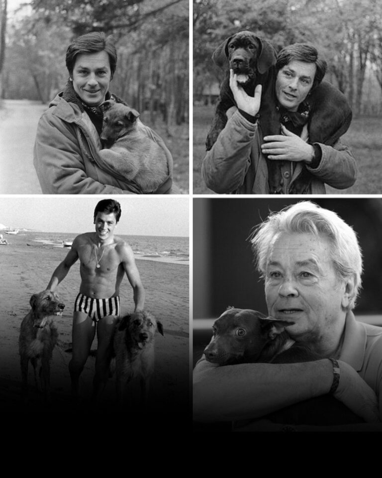 Alen Delon itlərinin yanında dəfn ediləcək