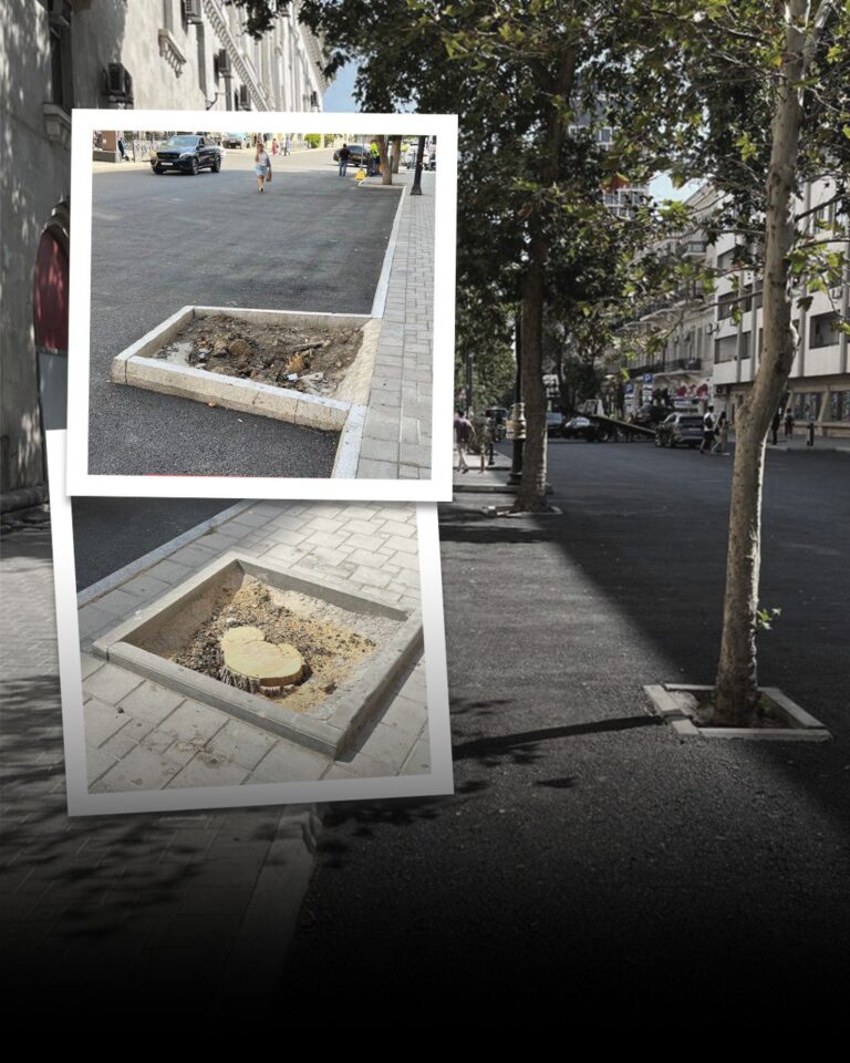 Bakının mərkəzində ağaclar kəsilir