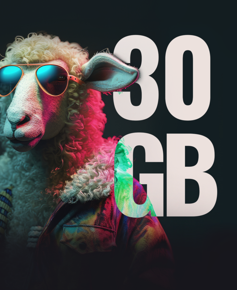 Ayda 70 min lirə maaş və 30 GB internetə çoban axtarılır