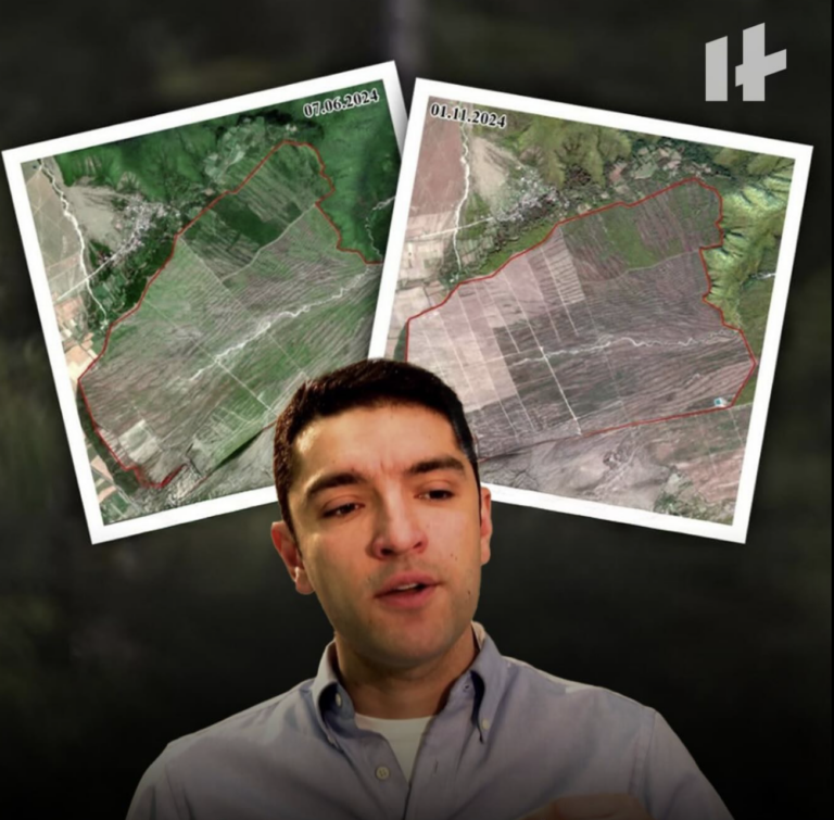 Şəkidə meşələri kəsən iş adamı həbs edilib
