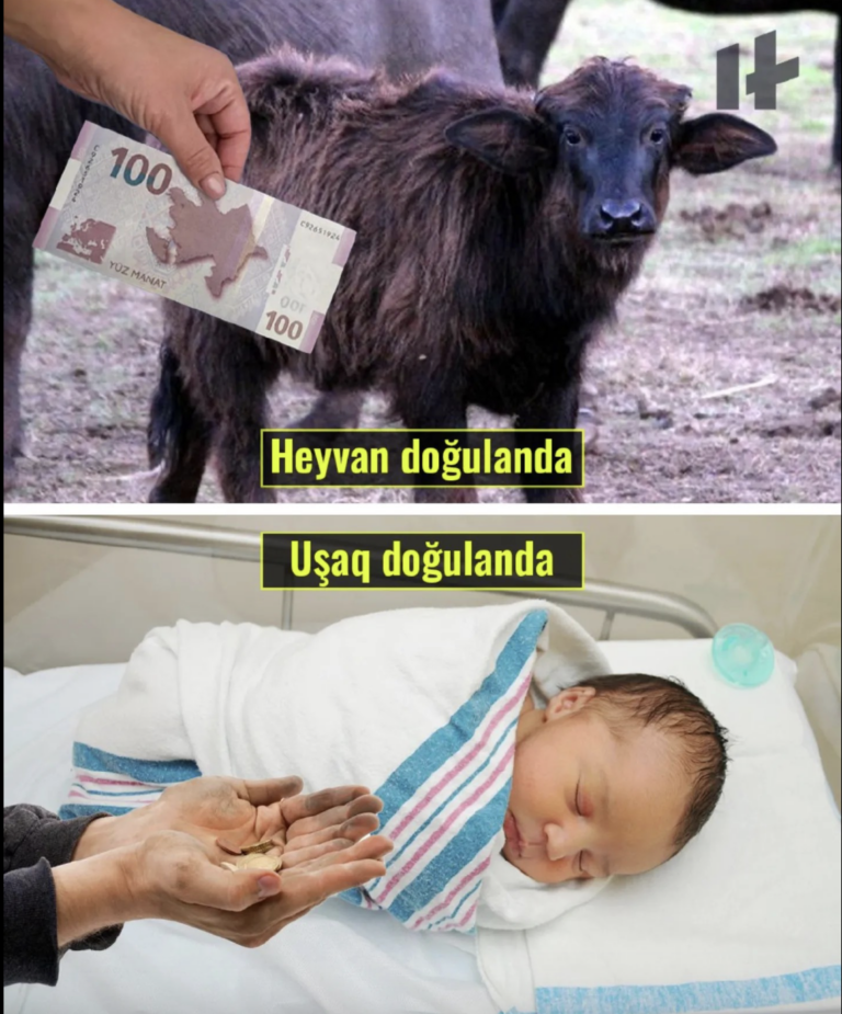 Untitled post 11364
