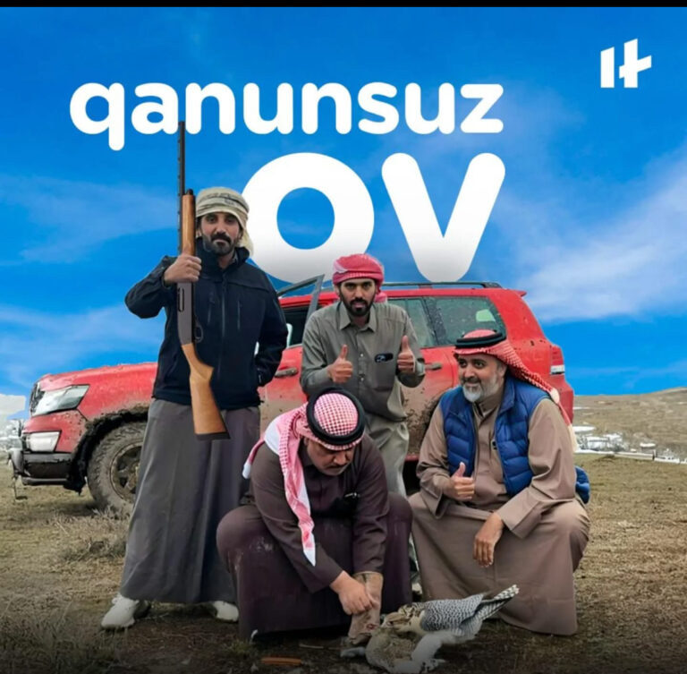 Dubay şeyxləri Azərbaycanda qanunsuz ov edirlər