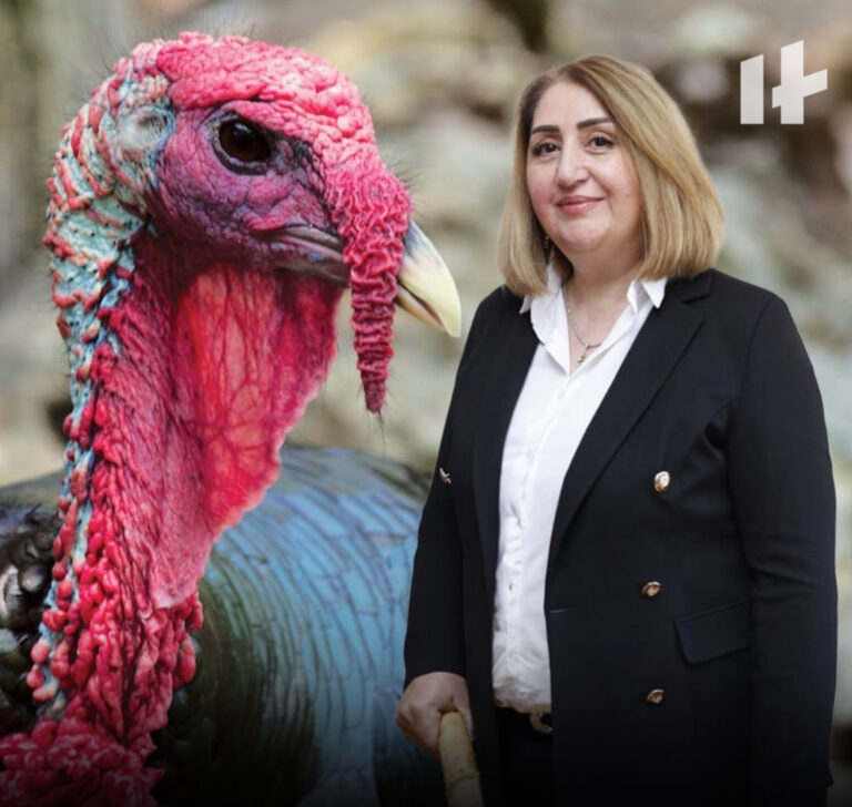 “Direktor bizə hinduşkabaş deyir” – Müəllimlər məktəbin direktorundan şikayət edir