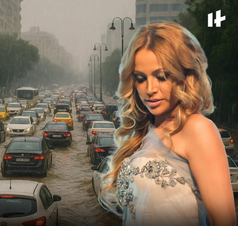 Nigar Camal: “Nə gözəl tıxacdır”