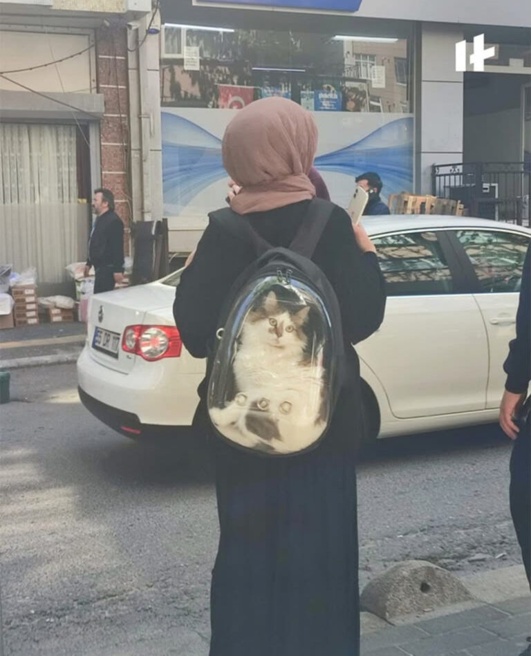 İstanbulda zəlzələ anında pişiyini xilas edən vətəndaş