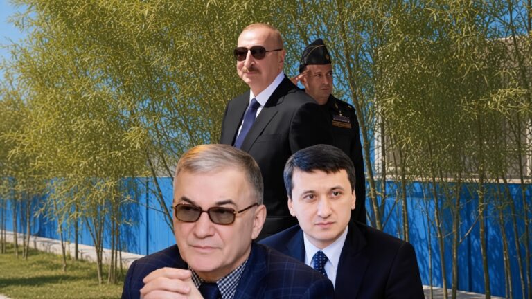 Prezidentin keçmiş mətbuat katibinin qardaşı dələduzluqda ittiham edilir